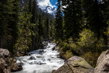 Grand Teton National Park