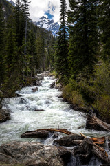 Grand Teton National Park