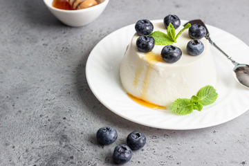Italian ricotta cheese on a white plate with fresh blueberries, mint and honey on grey background. Selective focus, copy space. 