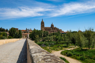 Fototapeta na wymiar Salamanca as seen from its old bridge