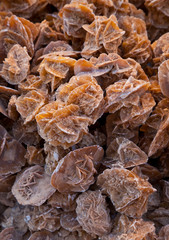 Rosa del Desierto, Desierto, Tunez, Africa