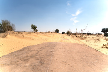 Fototapeta na wymiar The jaisalmer sand road in India