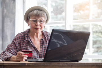 Elderly woman with computer and credit card inside.