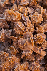 Rosa del Desierto, Desierto, Tunez, Africa