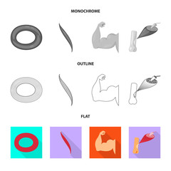 Vector design of fiber and muscular logo. Set of fiber and body vector icon for stock.