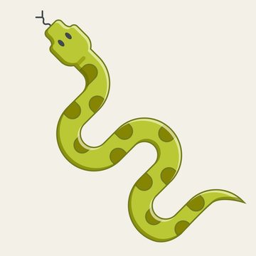 green snake crawling. dangerous viper from