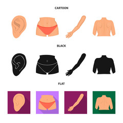 Vector design of body and part icon. Collection of body and anatomy stock vector illustration.