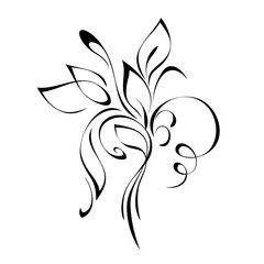 decorative element with stylized leaves and curls in black lines on a white background