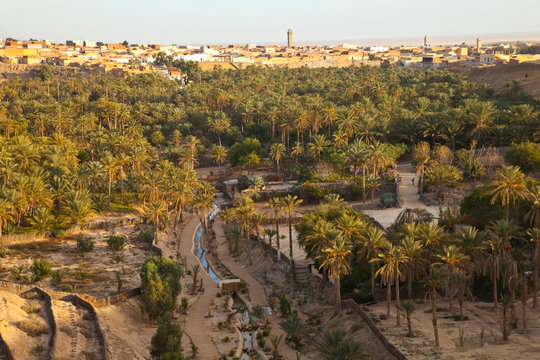 "La Corbelle" o"Oasis oe Nefta, Desierto del sur de Tunez, Africa
