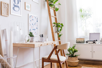 Design scandinavian interior of home office space with stylish chairs, wooden desk, shelf, a lot of plants, elegant accessories and mock up posters gallery wall. Stylish home decor. Template. - obrazy, fototapety, plakaty
