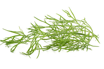 Fresh dill leaves isolated over white background.