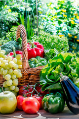 Variety of fresh organic vegetables and fruits in the garden