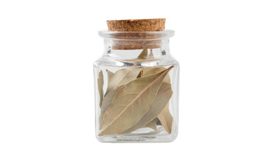 bay leaves in glass  jar on isolated on white background. front view. spices and food ingredients.