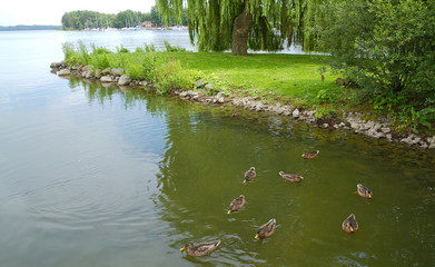 Burggarten von Schloss Schwerin am Schweriner See