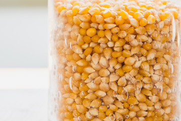 Grains de maïs dans un bocal en verre