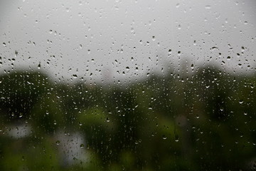 rain drops on window