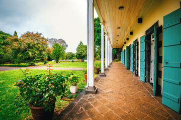 Botanical garden on Mauritius island