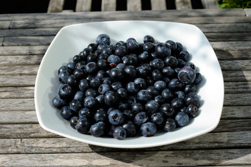 organic blueberry inside a dish on a wooden table 