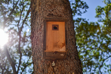 Birdhouse
