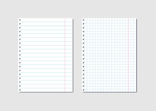 Empty Sheets Of School Exercise Book Are Checkered And Linear.