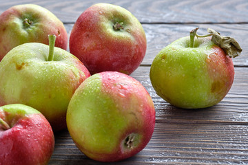 fresh harvest apples on brown wet natural old wooden table surface. Fruits are covered by raindrops.