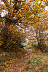 Otoño en Sierra Nevada,Granada,España.Paisajes otoñales de la vertiente sur del Mulhacen