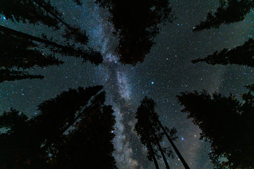 Milky Way over Mazama campground in Crater Lake National Park