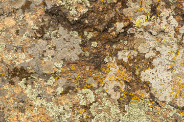 Texture of old granite covered with moss. Creative vintage background.