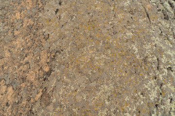 Texture of old granite covered with moss. Creative vintage background.