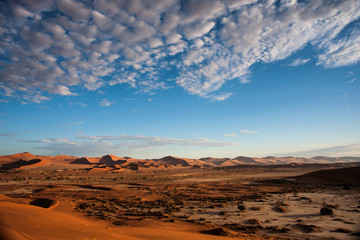 Fototapeta na wymiar Red sand dunes of the Sossusvlei area in the Namib-Naukluft National Pak in Namibia