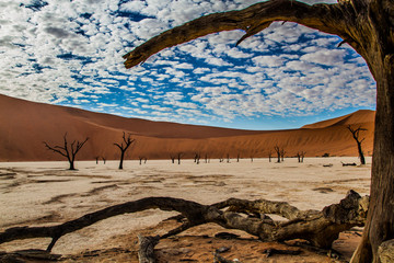 Dead Vlei near Sossusvlei in the early morning with clouds in the Namib-Naukluft National Park in...