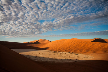 Fototapeta na wymiar Dead Vlei near Sossusvlei in the early morning with clouds in the Namib-Naukluft National Park in Namibia
