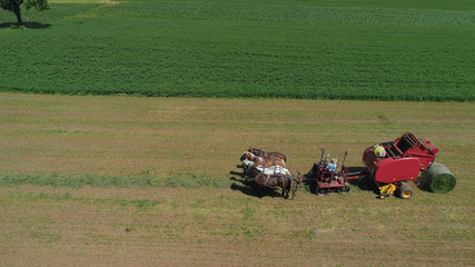 Amish Farmer Harvesting His Crop with 4 Horses and Modern Equipment
