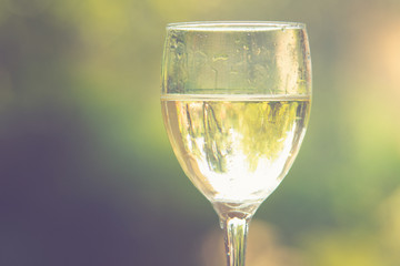 glass of white wine
