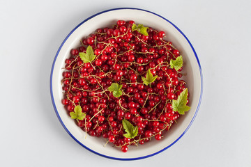 red currant with green leaves in a gray plate with blue edges on a gray background , top view