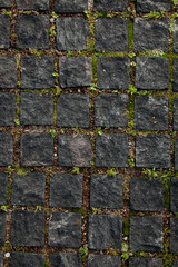 small plants grow between paved square granite stones paths.Background of pavement top view.