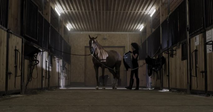 MED Attractive Caucasian female saddling up her horse inside stables. Shot on RED Helium. 4K UHD RAW graded footage