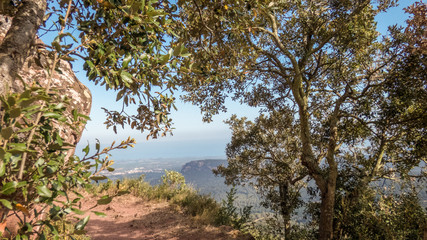 Fototapeta na wymiar View on surroundings from castle-monastery of Escornalbou throw the trees, Tarragona, Spain