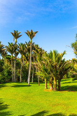 Obraz premium Travel to an exotic country