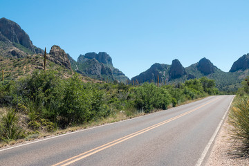 Desert landscape view of Big Bend National Park during the day in Texas.