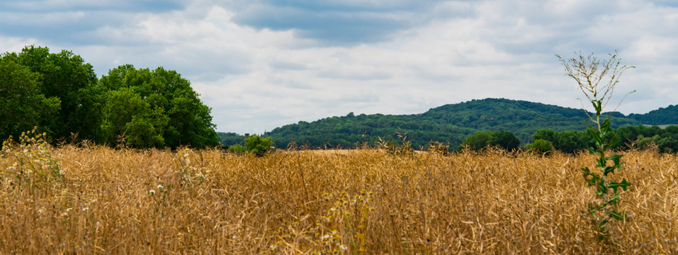 panorama. landscape with meadow, hay and green mountain. Marly, France