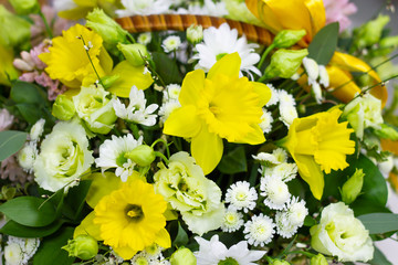 Composition with yellow daffodils in a basket floral background