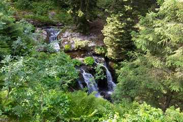 Little River White Opava in Moravia, mountain Jesenik, very green and clear wild Nature, Czech Republic