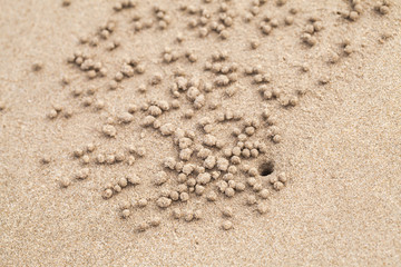 Balls of sand and hole made by sand bubbler