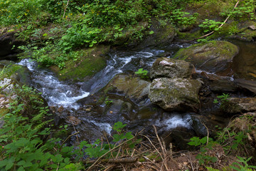 Naklejka na ściany i meble Little River White Opava in Moravia, mountain Jesenik, very green and clear wild Nature, Czech Republic