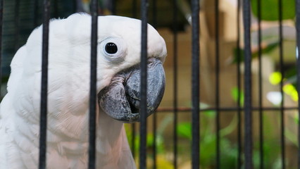YI DIGITAL CAMERA