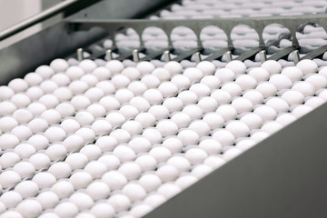 Egg industry. Conveyor transporting lot of fresh eggs on an organic chicken farm