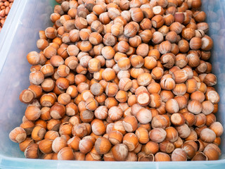 Lots of hazelnuts in a plastic box at the grocery store.