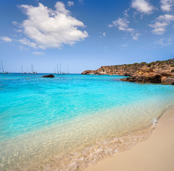 Fototapeta na wymiar Ibiza Cala Tarida beach in Balearic Islands