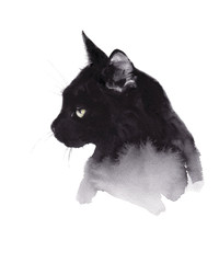 Black Cat Watercolor Pet Animal illustration isolated on white background